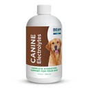 Beam Minerals Täielikud koerte elektrolüüdid | Täisspektriga elektrolüüdid koertele | 12 Fl Oz
