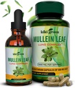 KIKI Green Mullein Kapslid & Vedelikud Tilgad Bundle - Mullein Leaf Extract Supplements, 90 Kapslid + 2 fl oz - Hingamisteede ja immuunsuse toetamiseks, Parem Kopsufunktsioon, Kopsupuhastus & Relief