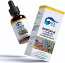 Berberiin - L-Theanine - kummel - Ashwagandha Vedelik tilgad | Üldine heaolu | Kõik looduslikud koostisosad 1 Fl Oz... (1)