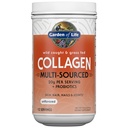 Aed Life Marine & Grass-Fed kollageen Peptiidide lisand (tüüp I, III) probiootikumidega ja BCAA-dega liikuvuse, liigeste tervise, juuste, naha ja küünte jaoks - maitsestamata, 20 g serveerimise kohta, 12 serveerimist
