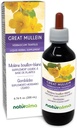 Naturalma Great Mullein või Common Mullein (Verbascum thapsus) Lill ja Leht Alkoholivaba tinktuur - 6,76 fl oz Vedel ekstrakt tilkadena - Taimne täiendus - Vegan