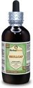 Koljukap (Scutellaria Lateriflora) Glükeeriit, orgaaniline kuivatatud ürdi alkoholivaba vedelik ekstrakt (kaubanimi: HerbalTerra, Proudly Made in USA) 4 fl.oz (120 ml)