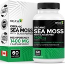 Renew Actives Sea Moss Triple-Action Antioxidant Blend with BioPerine – Organic Irish Sea Moss 500MG, Bladderwrack 500MG & Burdock Root 400MG per 2 Capsules – Made in Canada - 60 Capsules