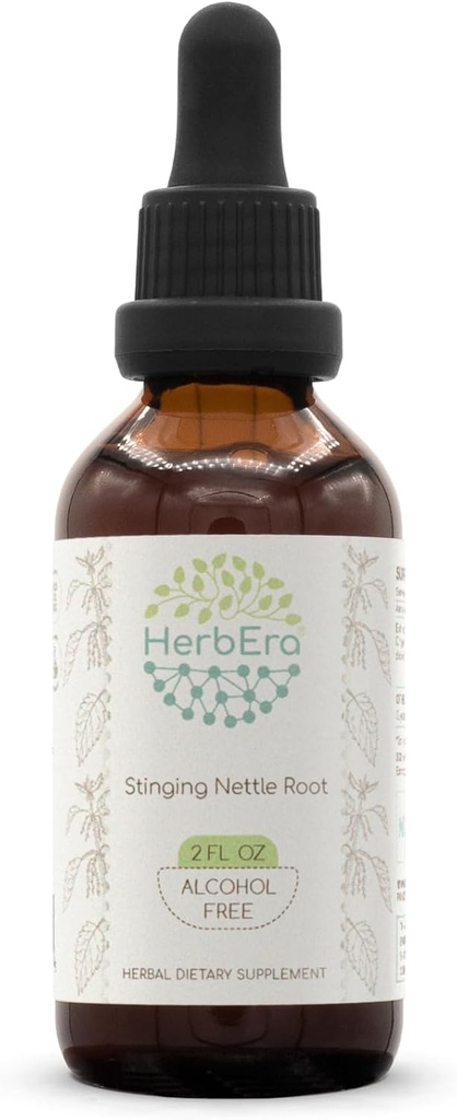 HerbEra Stinging Nettle Juur B60 Alkoholivaba taimeekstrakti tinktuur, kontsentreeritud vedelik tilgad Natural Stinging Nettle (Urtica Dioica) 2 fl oz