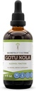 Saladused Tribe Gotu Kola tinktuur Alkohol Vedel ekstrakt, Gotu Kola (Centella Asiatica) Kuivatatud ürdi (4 FL OZ)