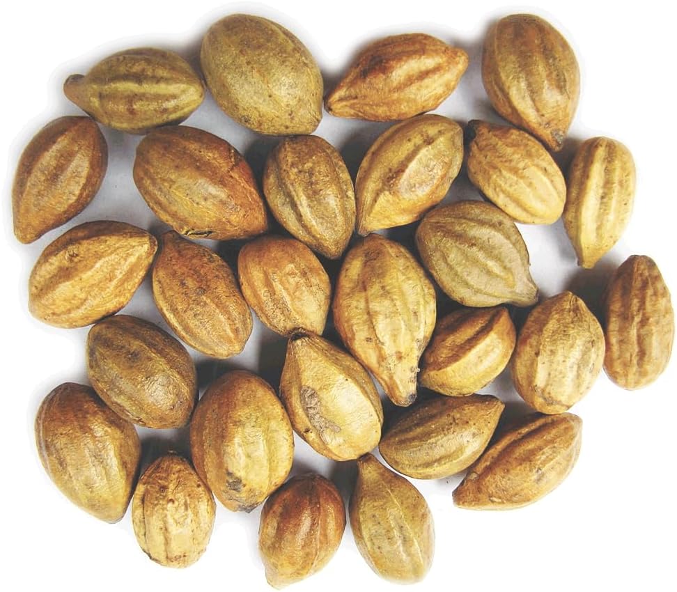 Naturals Terminalia Chebula | Kadukkai| Harad | Inknut |Haritaki India päritolu maitsetaimed (200g(7 oz))