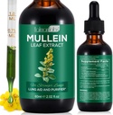Mullein Leaf Extract kopsud, Mullein tilgad kopsud, tugi Lung, hingamisfunktsiooni tervisliku hingamise, parandamine Kopsufunktsiooni, looduslik ja ohutu täiendus (1 PC)