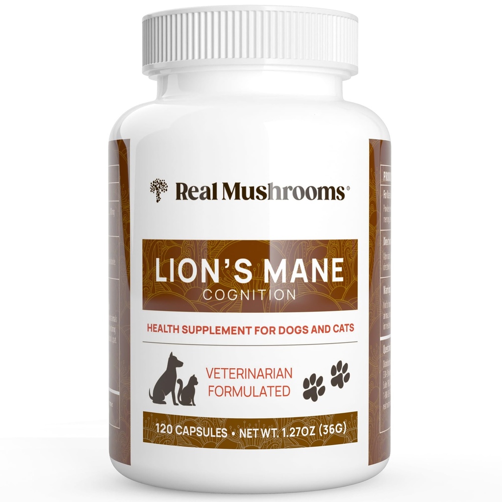Real Seened Lõvi Mane Lemmikloomade Seene Täiendus - Lemmikloomade Heaolu Kapslid - Kassi ja Koera Toidulisandid Ja Vitamiinid - Toeta Mindful Routines - Orgaaniline, Vegan, Non-GMO, 120 Count