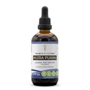 Saladused Tribe Muira Puama tinktuur Alkoholivaba vedelik ekstrakt, Muira Puama (Ptychopetalum Olacoides) Kuivatatud koor (4 FL OZ)