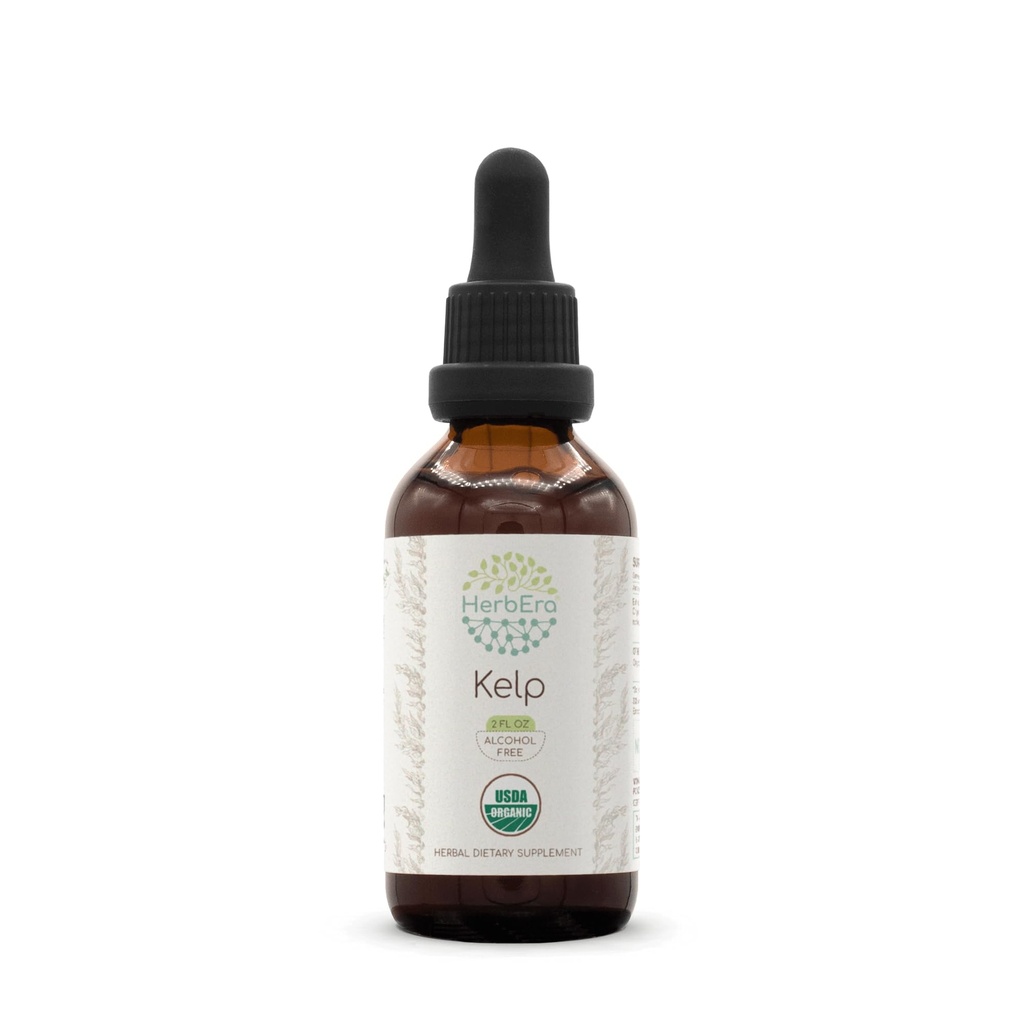 HerbEra Kelp B60 USDA orgaaniline tinktuur | Alkoholivaba ekstrakt, suure tugevusega taimetilgad | sertifitseeritud orgaaniline kelp (Ascophyllum nodosum) Kuivatatud taim (2 oz)