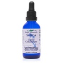 Eidon Liquid Silica Mineral Concentrate - Silica Supplement juustele, nahale ja küüntele, tilgad toetada kollageeni tootmist, aitab hallata kaltsiumi, ei ole lisatud suhkrut - 2 oz