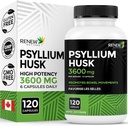 Uuendage toimeaineid Psyllium Husk 1200MG 2 kapsli kohta - puistevormi lahtistav ja lahustuv kiud seedetrakti tervise, korrapärasuse ja täiskasvanute heaolu jaoks - puhtad koostisosad - valmistatud Kanadas - 120 kapslit
