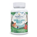 Nordic Naturals Kids Calm Gummies - Maasikas Arbuus - 60 Gummies - Magneesium L-Theanine Supplement - Rahustav lastele - Lõõgastav tugi - kuni 60 Serving