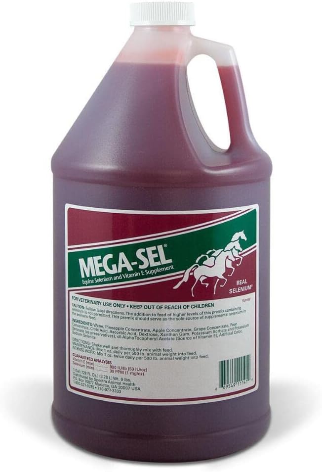 Mega-Sel Vedel valem hobustele, 1 Gallon (128 Fl oz)