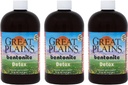 Yerba Prima Great Plains Bentonite Clay - 16 oz (3 pakk) - looduslik sisemine vedelik savi puhastuslisa