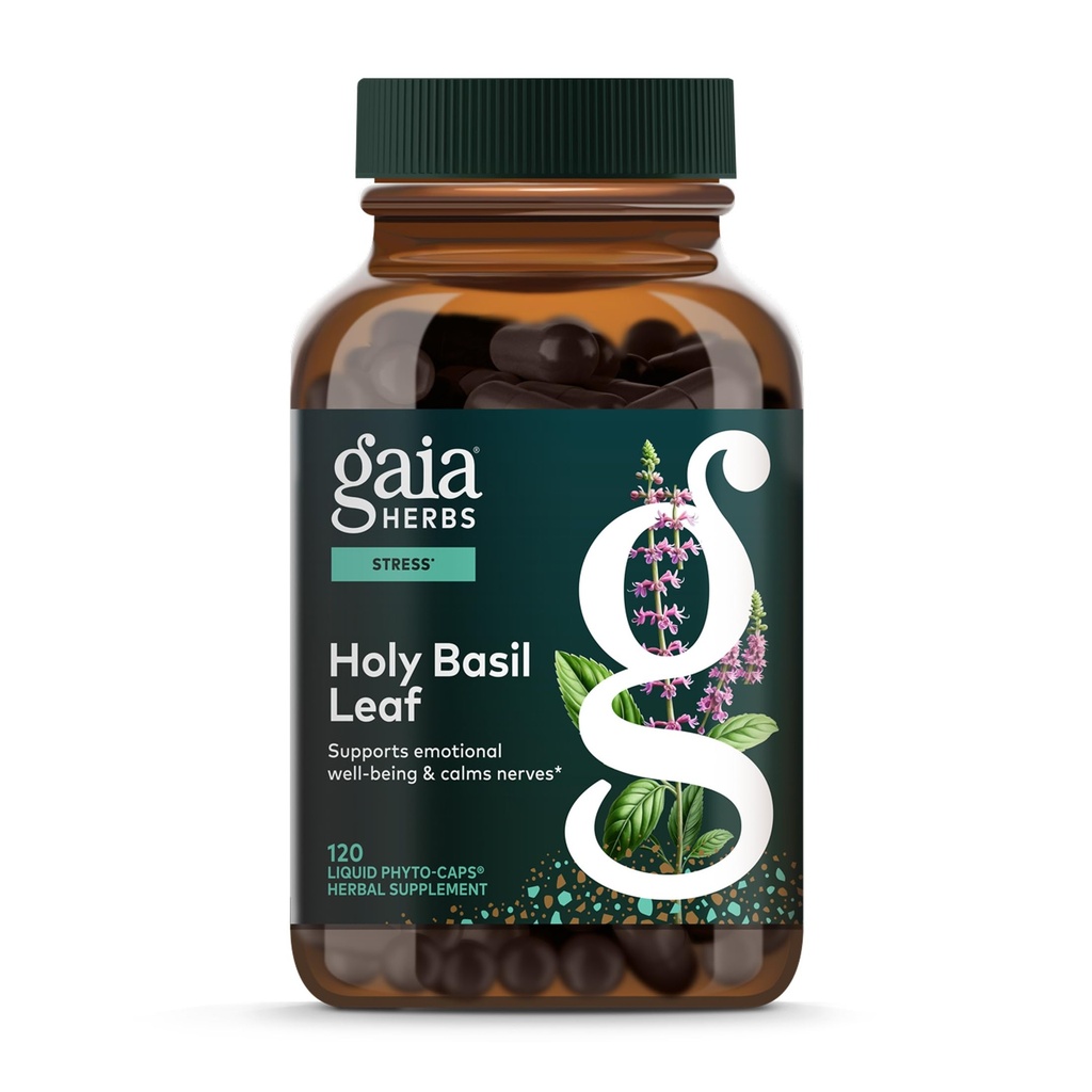 Gaia maitsetaimed Püha basiilik Leht - Traditsiooniliselt kasutatakse stressireaktsiooni toetamiseks - Adaptogeensed Ayurveda ürdid * - 120 Vegan Vequid Phyto-Capsules (60-päevane pakkumine)