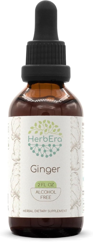 HerbEra Ingver B60 Alkoholivaba taimeekstrakti tinktuur, ülikontsentreeritud ingver (Zingiber officinale) 2 fl oz