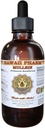 Mullein Liquid Extract, Organic Mullein (Verbascum densiflorum) Tinktuur, Herbal Supplement, Hawaii Pharm, Made in USA, Hawaii Pharm, Made in USA 2 fl.oz