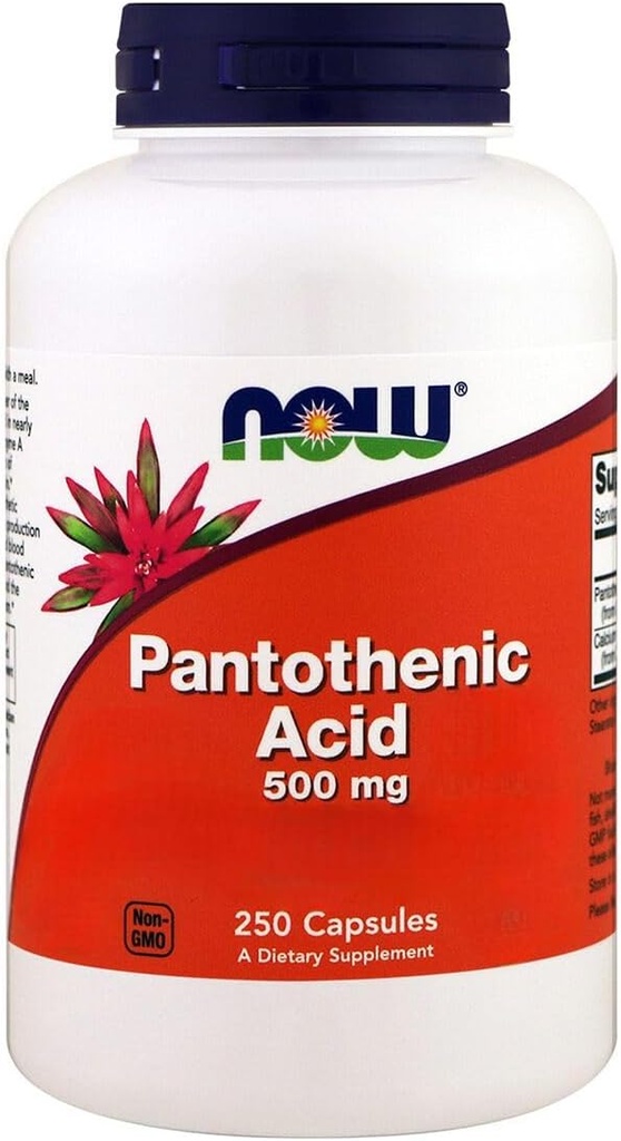Nüüd toidud, pantoteenhape, 500 mg, 250 kapslit