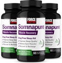 FORCE FAKTOR Somnapure Lihaste taastamise uneabi täiskasvanutele melatoniiniga 5mg, Püha basiilik ja L-Theanine, unetoetus, lihaste valulikkuse leevendamine ja lihaste taastumine, 180 kapslit, 3-pakk