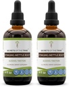 Saladused Tribe Stinging Nettle Juur tinktuur Alkoholi ekstrakt, kõrge potentsi Taimne tilgad, Tinktuur valmistatud Stinginging Nettle Urtica Dioica Hingamisteede ja kuseteede Tervis 2x4 oz