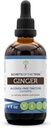 Secrets of the Tribe Ginger Tincture Alcohol-Free Extract, Ginger (Zingiber officinale) Dried Root 4 OZ