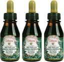 3 pudelit Apiario Silvestre Bee Pollen & Brasiilia Green Bee Propolis Vedelik - Glükoolne ekstrakt- Mittealkohoolne, vahavaba, suhkruvaba