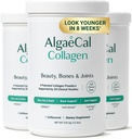 ALGAECAL Collagen - 4 kliiniliselt toetatud Peptides VERISOL®, FORTIGEL®, UC-II®, FORTIBONE®, vananemisvastane hüdrolüüsitud kollageeni pulber, 3 pakendit, valmistatud USA-s