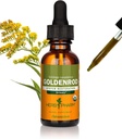 Herb Pharm Certified Organic Goldenrod Vedelik Ekstrakt kuseteede süsteemi toetuseks, 1 Fl Oz (Pack of 1)