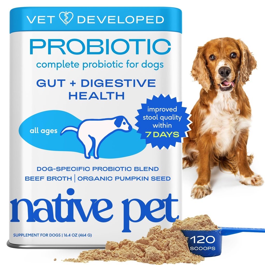 Native Lemmiklooma probiootikumid koertele - koera probiootikumid Pulber seedetrakti tervisele, soolestiku tugi ja immuunsuse suurendamine - Vet-Formuleeritud pulber maksimaalse tugevuse saavutamiseks seedetrakti ensüümide ja prebiootikumidega - 120 Scoops