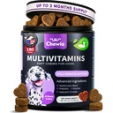 Koer Vitamiinid 15 in 1 - Koer multivitamiini närimised MSM-iga puusa ja liigese tervise jaoks - Koerte lisamine sügelevale nahale - Multivitamiin koertele Immuunsüsteemi tugi ensüümidega - Nahk ja kate, liikuvustoetus