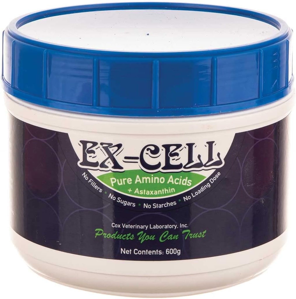 Ex-Cell Pure Aminohapped Pulber 600g