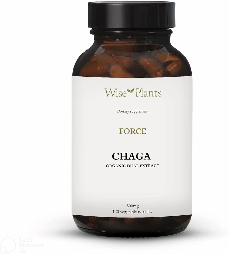Chaga Seenelisand. Dual Extract, Pure Fruiting Body, 30% polüsahhariide, 500 mg, 120 köögivilju (120-päevane tarne). Võib toetada tervislikku seedesüsteemi, immuunfunktsiooni ja edendada südame tervist.