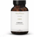 Chaga Seenelisand. Dual Extract, Pure Fruiting Body, 30% polüsahhariide, 500 mg, 120 köögivilju (120-päevane tarne). Võib toetada tervislikku seedesüsteemi, immuunfunktsiooni ja edendada südame tervist.