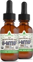 RawGuru Metüülfolaat 1mg + vitamiin B12 - orgaaniline Vegan Metüülitud B12 koos jälgede mineraalidega - Nano-töödeldud ja täiustatud vedel valem - 300 Vegan tilka 30 ml kohta, pakend 2