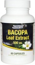 Bacopa Leaf Extract - 500 mg - 60 kapslit