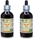 Xia Ku Cao, Prunella (Prunella Vulgaris) tinktuur, orgaaniline kuivatatud Spike Powder Vedel ekstrakt (Brand Name: HerbalTerra, Proudly Made in USA) 2x4 fl.oz (2x120 ml)