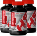 Meeste kehaehitaja - Kreatiin Pulber 100G - Kreatiin Bulk - 3 pudelit (pulber)