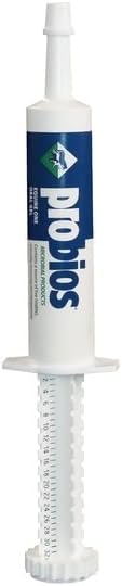 BIOMAC Probios mikrobiootiline geel hobustele, 30gm