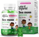Wild & Organic Irish Sea Moss Gummies for Kids 800mg - Immuuntugi Põiewrack - Vegan Sea Moss Gel Chews üldiseks toetuseks - 60 Non-GMO Seamoss Gel Gummies