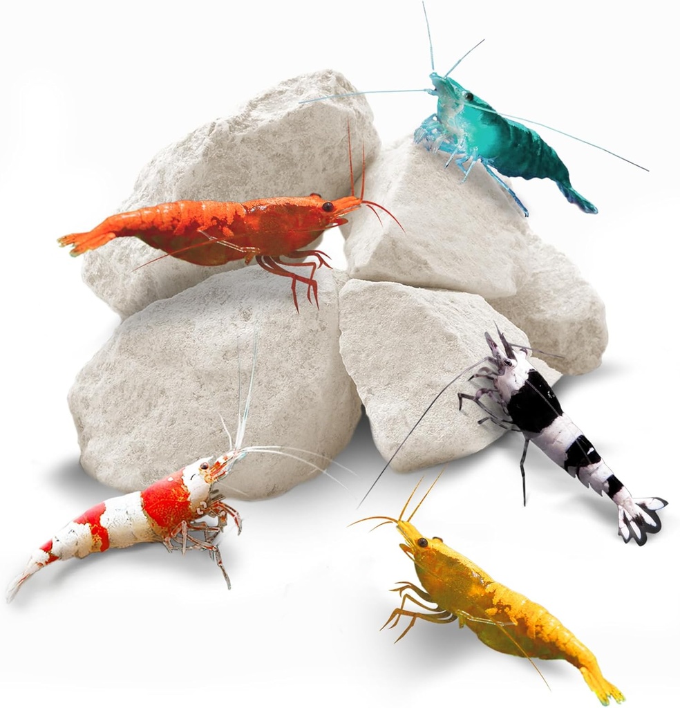 SunGrow Shrimp Rocks, Kaltsium, Magneesium Rocks for Crayfish, Ermit Crab, teod, Crustacean Care, Aquarium Decor Crystal Red, Amano ja Ghost Shrimps, Nano Tank tarvikud, Kala Tankivarud