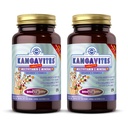 Solgar Kangavites, Bouncin' Berry Maitse - 120 närimistabletti, pakend 2 - täielik multivitamiin ja mineraalne valem lastele - Vegan, Gluteenivaba