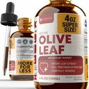 Rejuvica Health Active Olive Leaf 4oz XL Super Size Tinktuur - Advanced Olive Leaf Vedelik Ekstrakt - Looduslikult esinev Oleuropein - Immuunsüsteemi & Südametoe tilgad
