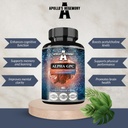 APOLLO HEGEMONY Alpha-GPC 600mg päevases annuses - 90 Vegan koliinkapslit - 99% koliinalfostsenaadi toidulisandit - lipiidkoliini - mälu ja kontsentratsioon kapslid
