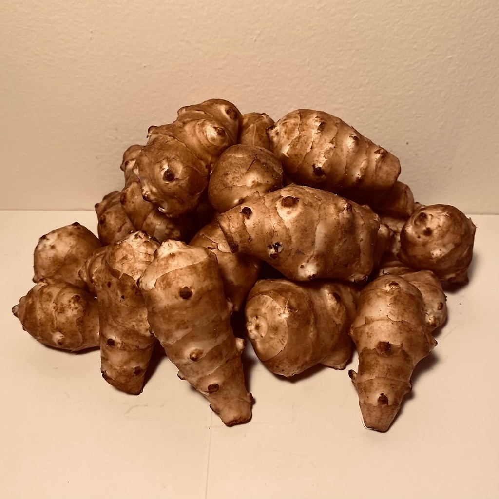 Sunchokes - 5 naela (5 naela) istutamiseks või söömiseks FEDEX 2Day
