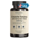 VINATURA Cistanche koos Horny Goat Weed 60% Icariin - 1250mg per Serving, Cistanche Tubulosa, Cistanche Supplement Mehed, energia, tugevus Kognitiiv * USA valmistatud ja testitud * - 60 kapslit 30 Servings