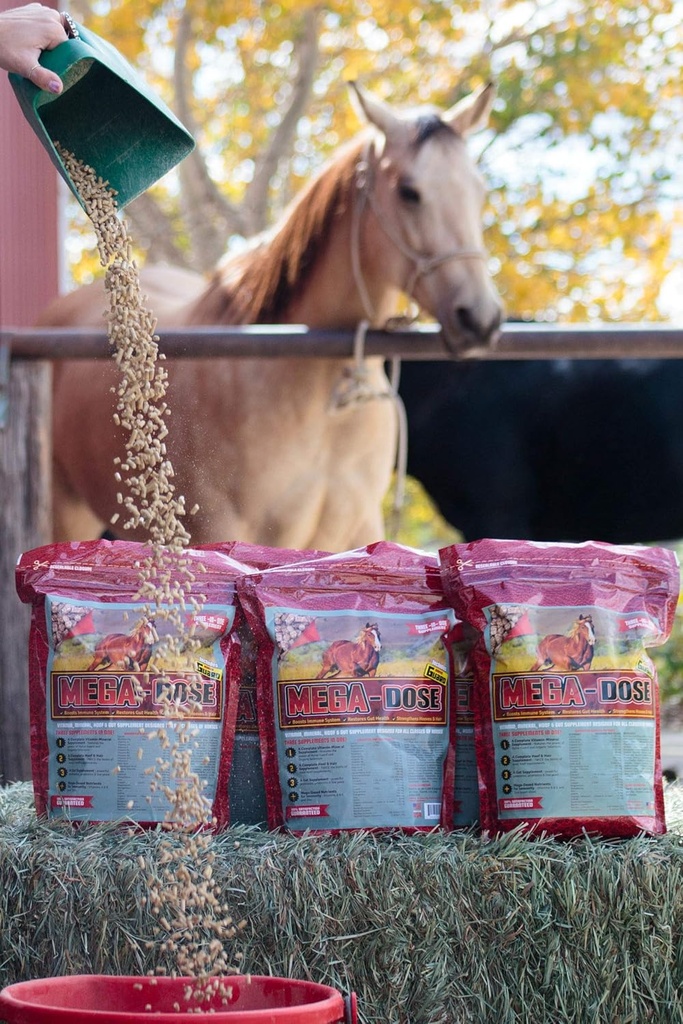 Mega annus 40 lb, Hobuste vitamiini mineraal koos hobuste kaitse lisandi ja hoof Guardi täieliku teenindamisega