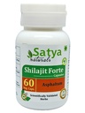 Generic Shilajit kapsel 60 Servings per pudel 500mg ayurvedic ei sisalda kunstlikke koostisosi ( üksikpakend)