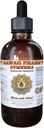 HawaiiPharm Gymnema (Gymnema Sylvestre) Vedelikekstrakt 4 oz