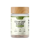 Snap Supplements Olive Leaf Extract Kapslid - Super Tugevus 40% Oleuropein verevoolu toetamiseks, parandada seedimist, Antioksüdandid Boost täiendada, parandada aju funktsiooni (60 kapslit)